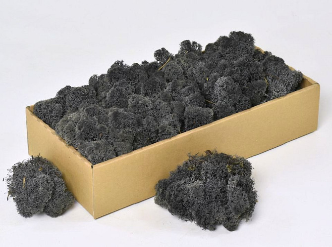 Islandmoos Anthrazit 500Gr.