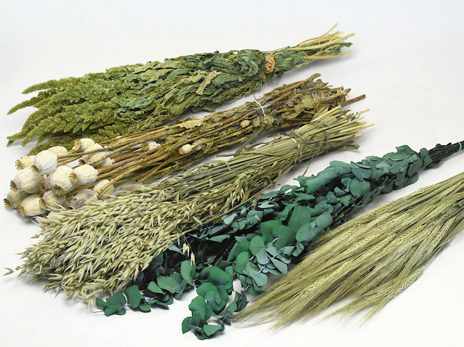 DIY Trockblumenstrauß Grün/Natur XL