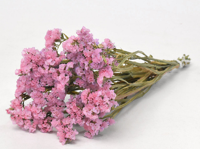 Statice Sinuata Pink