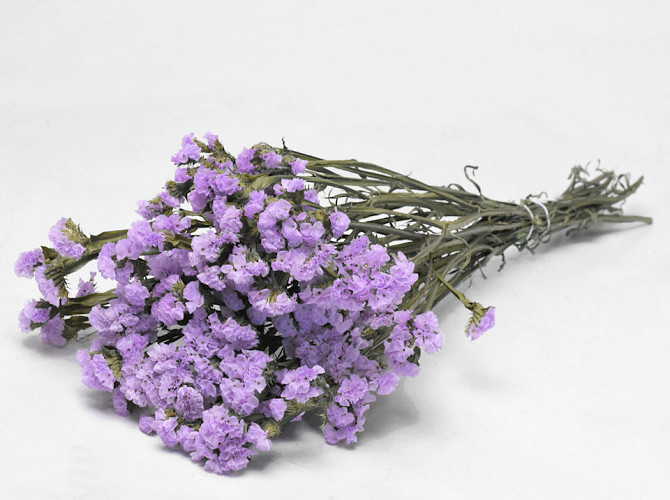 Statice Sinuata Violett