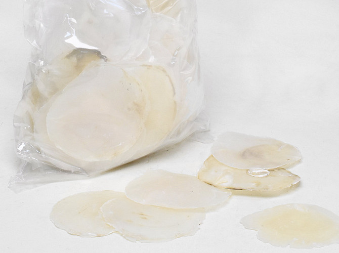 Capiz Shells 9-12cm Pearl 1kg