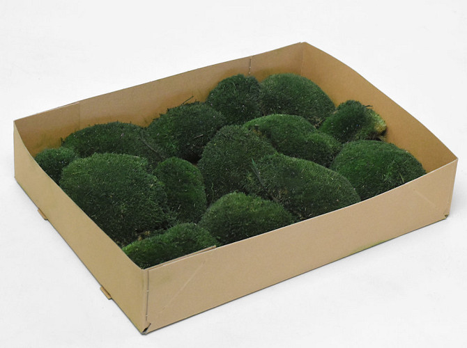 Cushion Moss Dark Green (Tray 29x39cm)