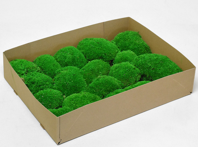 Polstermoos hellgrün (Tray 29x39cm)