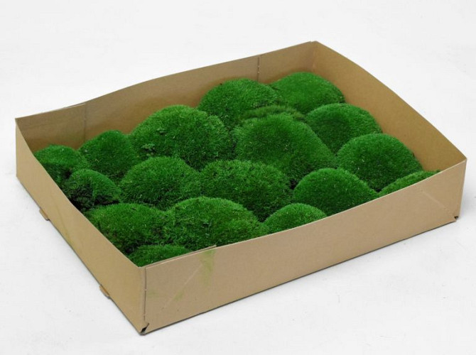Cushion Moss Forest Green (Tray 29x39cm)