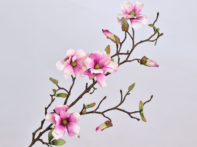 Magnolia Branch White-Pink 78cm
