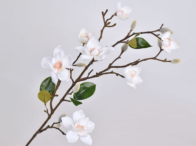 Tige de Magnolia 90cm Blanc