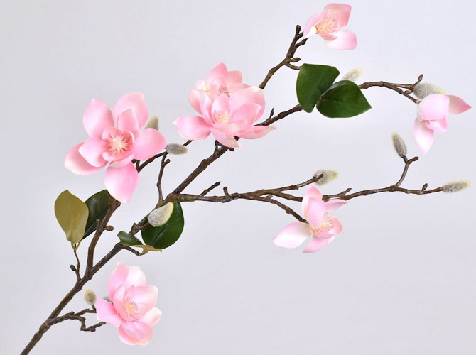 Magnolia Branch 90cm Pink