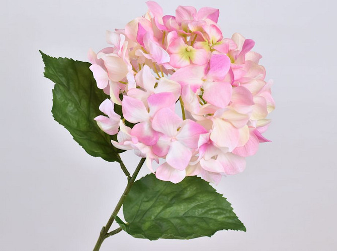 Hortensia 68cm Rose clair