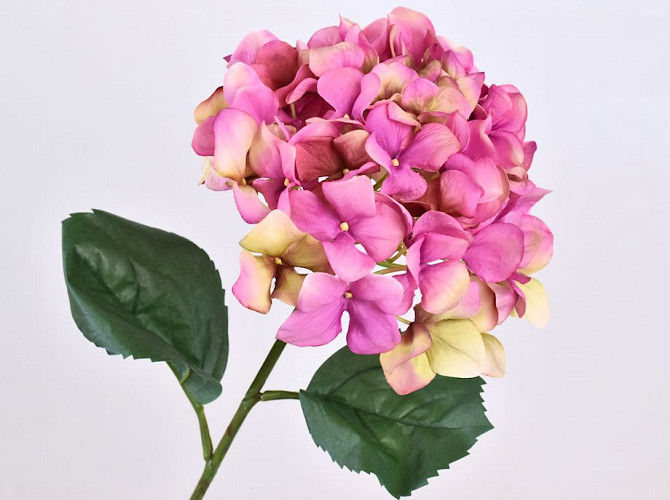Hydrangea 68cm Pink
