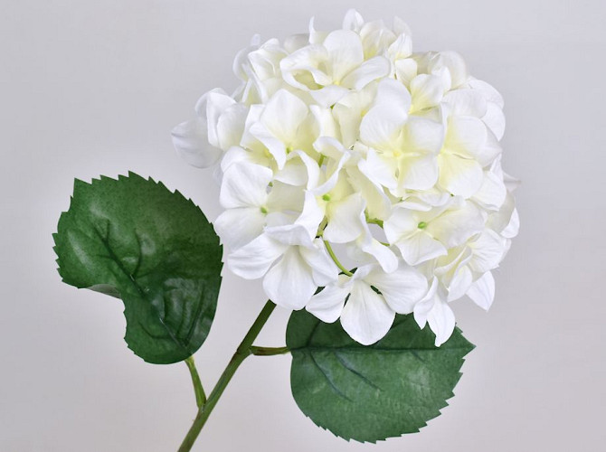 Hortensia 68cm Blanc