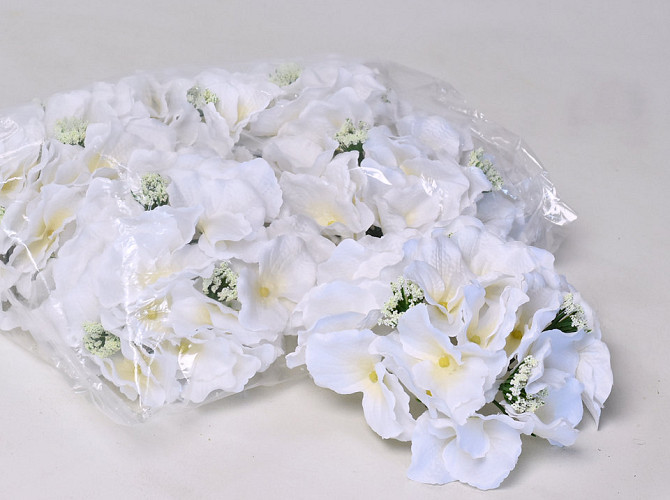 Hortensia Kop D18cm Wit