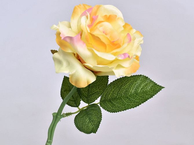 Rose Gelb D12cm L32cm