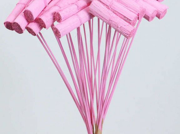 Banana Bundle on stem pink