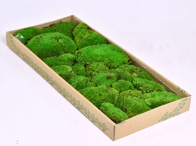 Boule de mousse vert (tray 66x26cm)