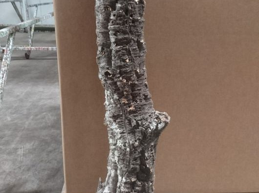 Cork Tube XL110-130cm