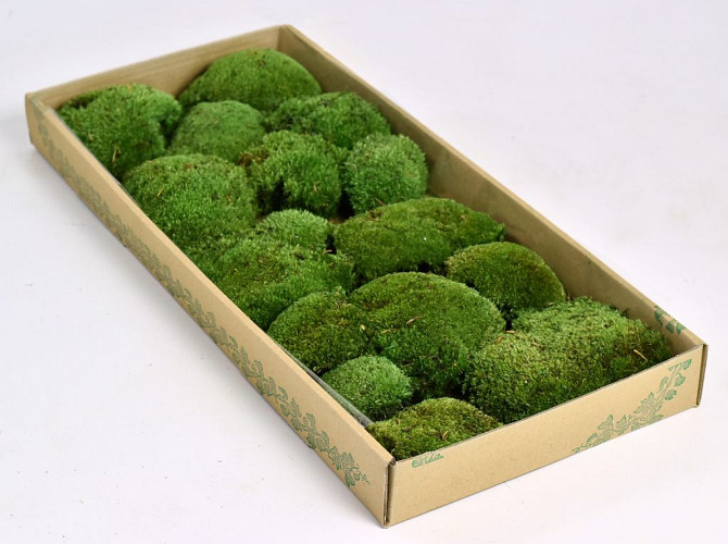 Cushion Moss forest green (tray 66x26cm)