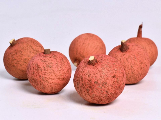 Melon Grand Rouge 7-9cm