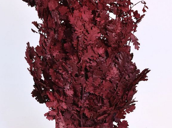 Oak Leaves Red 1Kg