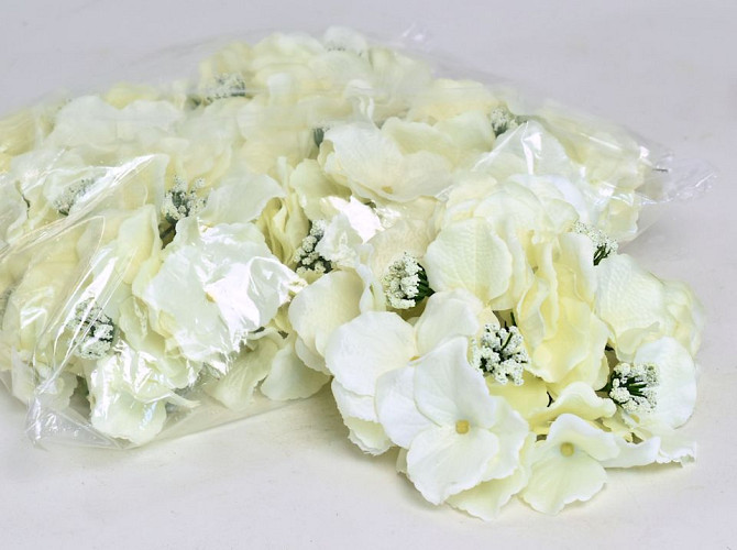 Tête d'Hortensia D18cm Crème