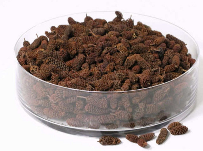 Alder Cones 500gr.