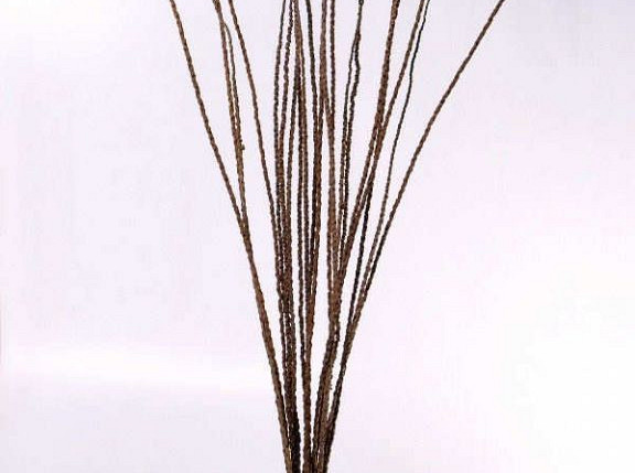 Bacaba Grass 20pcs 90-115cm