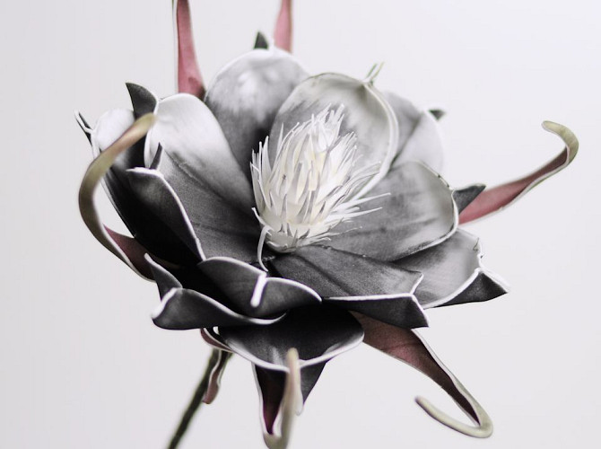 Blume Schaumstoff Schwarz, D 20cm