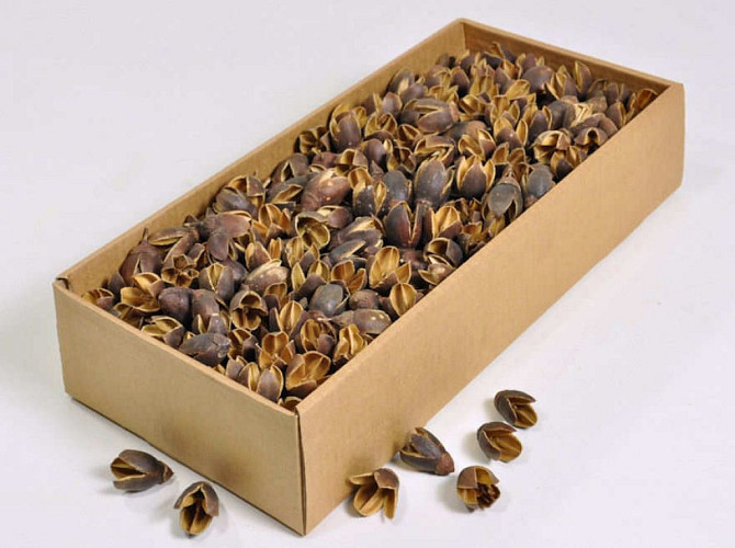 Bakuli Pod 1kg