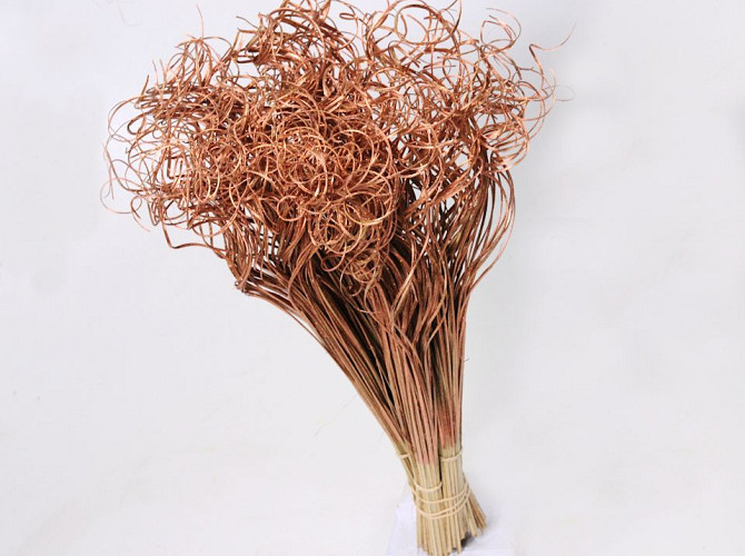 Curly Ting 250pcs Copper