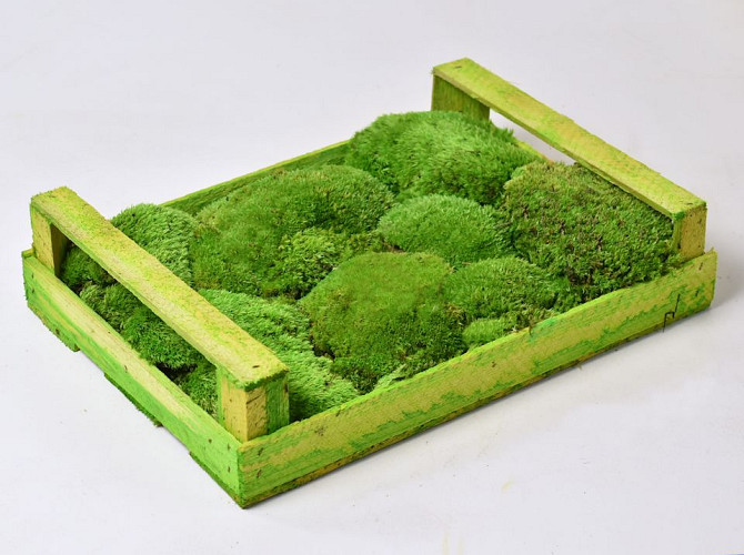 Cushion Moss light green (Crate 37x28cm)