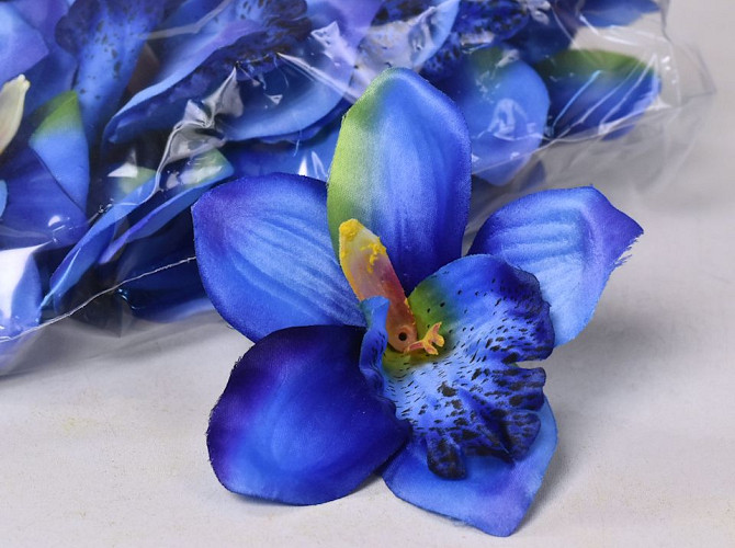 Orchidée Bleu D14cm