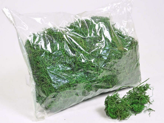 Curly Moss Green 1Kg