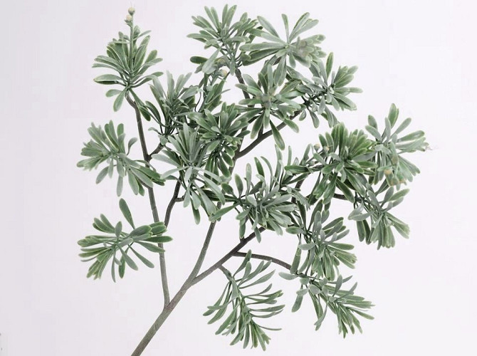 Artemisia Branch 45cm