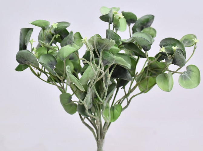 Artificial Dichondra Silver Falls 25cm