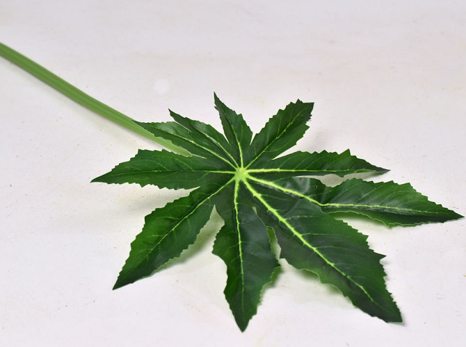 Leaf Aralia D25cm L55cm