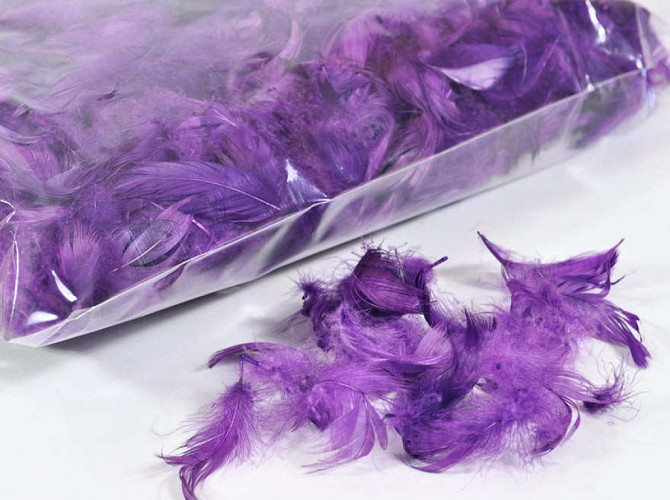 Feathers Purple 100gr.