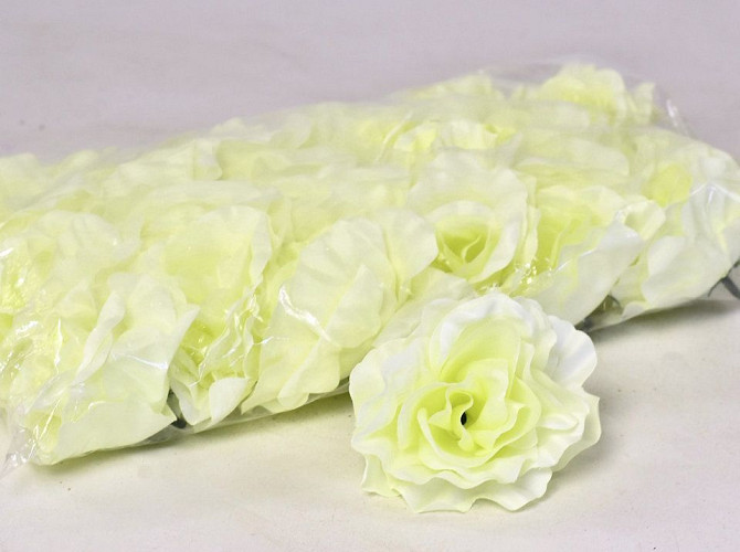 Rose D10cm Cream