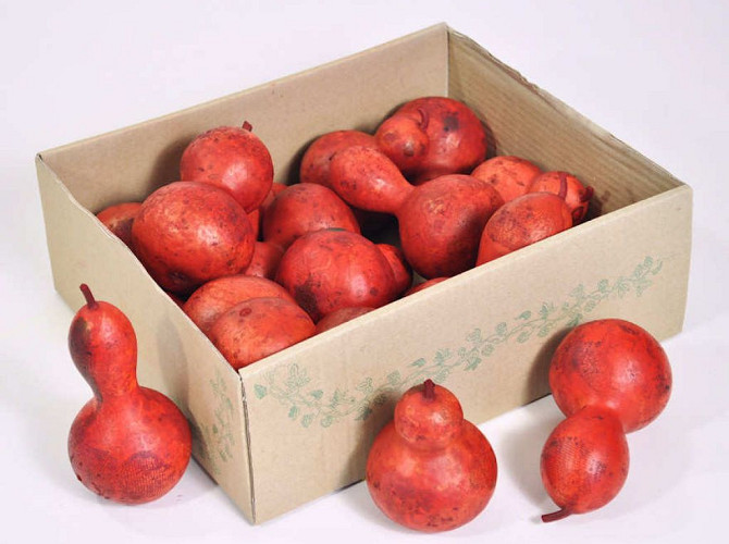 Calabash 10-14cm 15-Pack rot