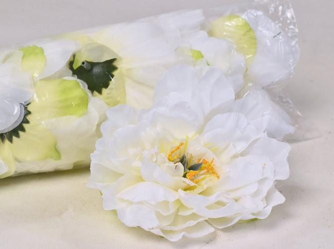 Peony D13cm White