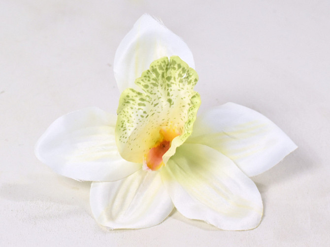 Orchidée D14cm Crème