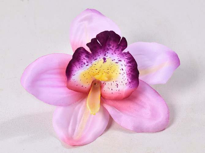 Orchid D14cm Pink