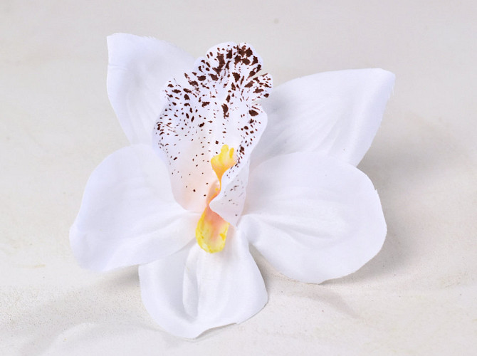 Orchidee Weiß D14cm