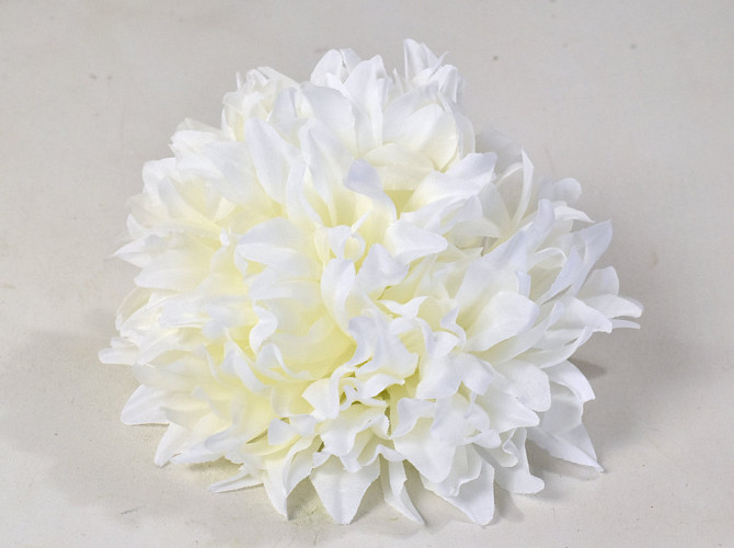 Chrysanthème D16cm Crème