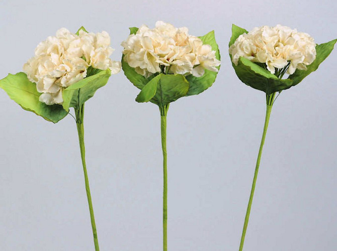 Hydrangea white 75cm