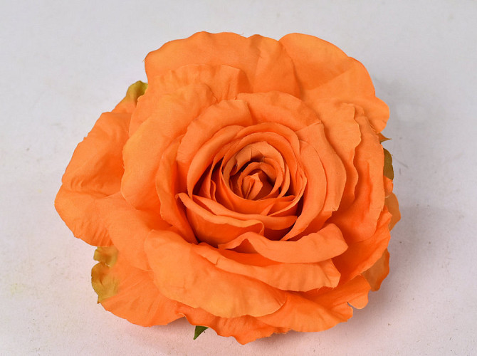 Rose D15cm Orange