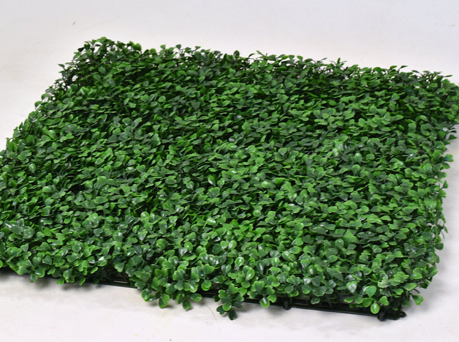 Boxwood mat 25x25cm