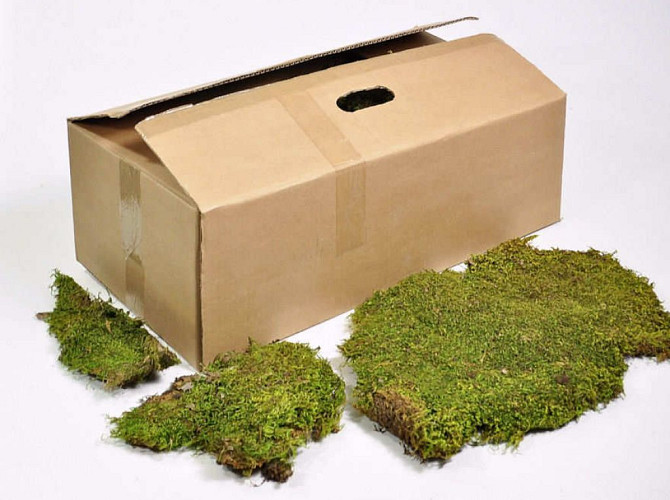 Dry Sheet Moss 2kg 