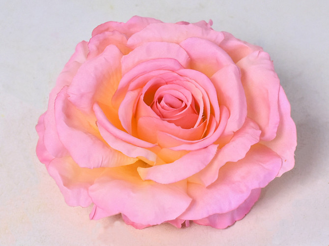 Rose D14cm Pink Yellow