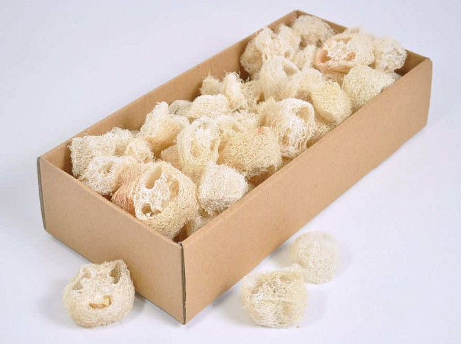 Luffa Slices Bleached 100gr.