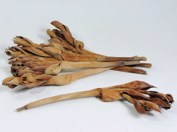 Nipa Palm Leaf 40-55cm