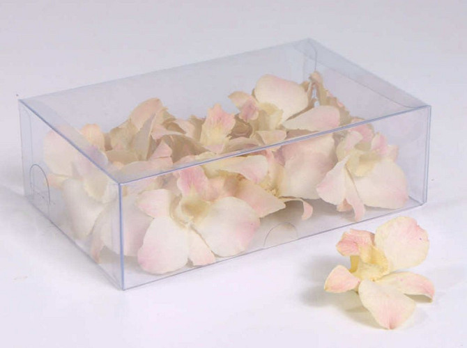 Orchid Lady White 20pcs